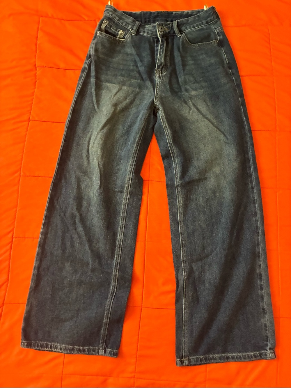 The North Face Baggy Jeans Mens 29 Y2K Casual/outdoor